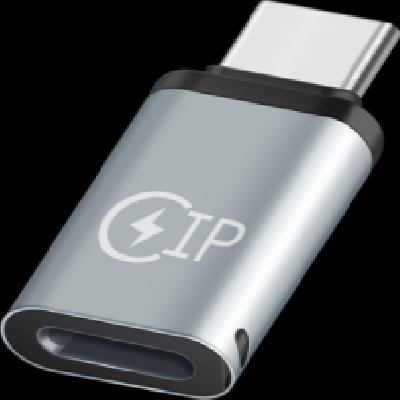 Lightning female to Type-C male data charging adapter 