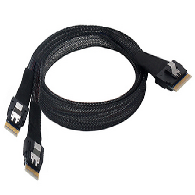 Slim SAS SFF-8654 8i to SFF-8654 4i2